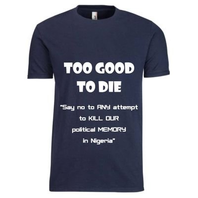 ChidiOdinkalu (chidiodinkalu.lens) Lens social identity (.lens handle) PFP