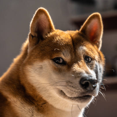 Dee (57ffman.lens) Lens social identity (.lens handle) PFP