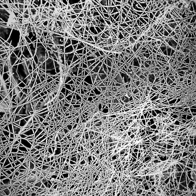 Atlas Quinn (telmex.lens) Lens social identity (.lens handle) PFP