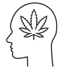 leoshada (leoshada.lens) Lens social identity (.lens handle) PFP