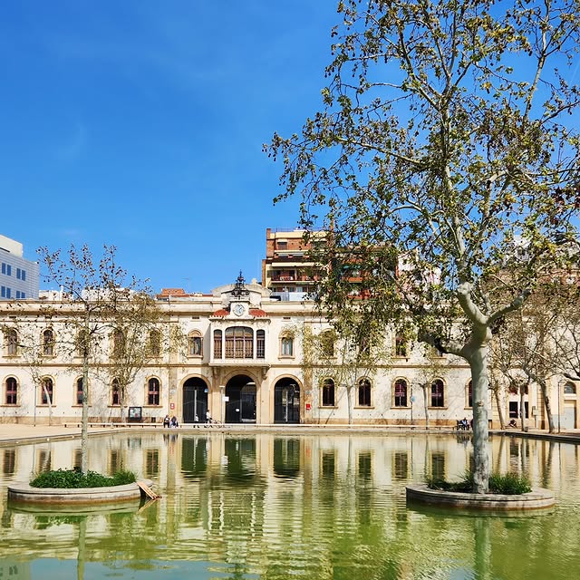 Lira Kaye (newsbank.lens) Lens social identity (.lens handle) PFP