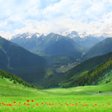 o010o (o010o.lens) Lens social identity (.lens handle) PFP