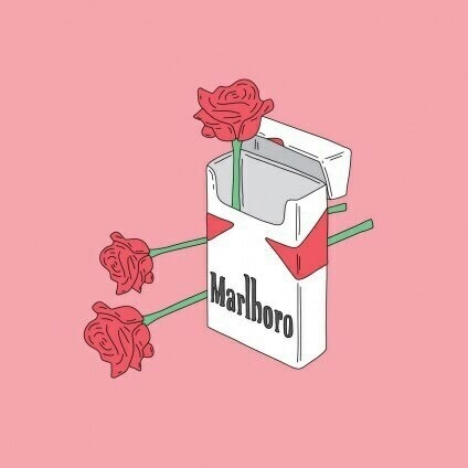 Audur (segbsr.lens) Lens social identity (.lens handle) PFP