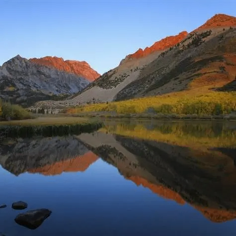 dymoove (dydymoov.lens) Lens social identity (.lens handle) PFP