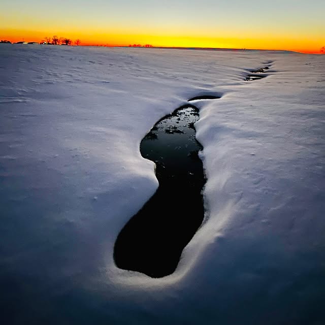 ImmersiveTech Innovator (macysjobs.lens) Lens social identity (.lens handle) PFP