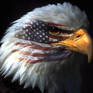 rebarbill (rebarbill.lens) Lens social identity (.lens handle) PFP