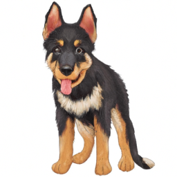 ajatillas (aajtak.lens) Lens social identity (.lens handle) PFP