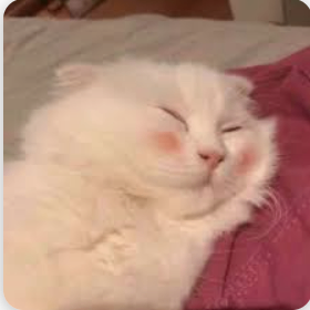 Xander Luxe (xiixu.lens) Lens social identity (.lens handle) PFP