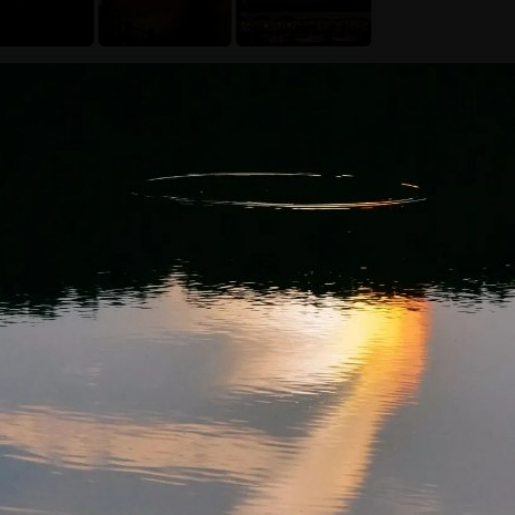 gfd433 (gr55gf.lens) Lens social identity (.lens handle) PFP