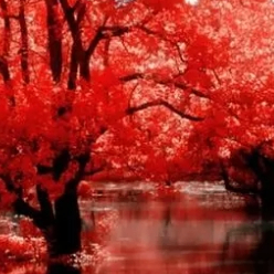 Zachary Oliver (kkhhh.lens) Lens social identity (.lens handle) PFP