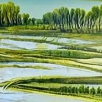 Verna Gill (kkuuuu.lens) Lens social identity (.lens handle) PFP