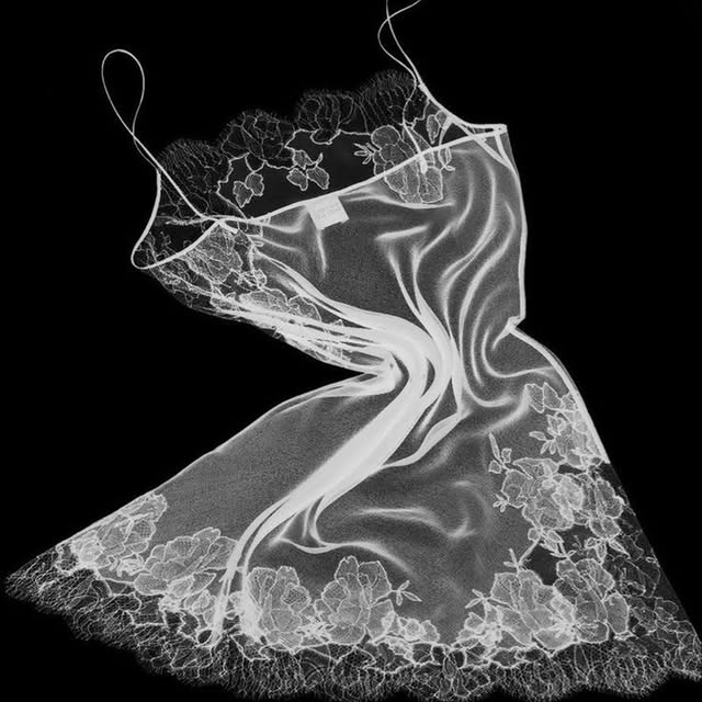 Bright Futures Advocacy (nickmom.lens) Lens social identity (.lens handle) PFP