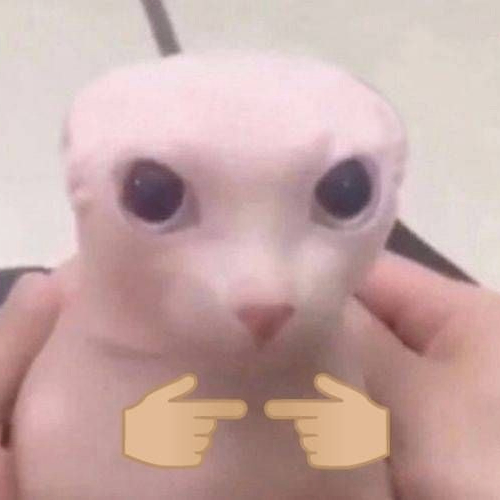 Timur (blackjesus77.lens) Lens social identity (.lens handle) PFP