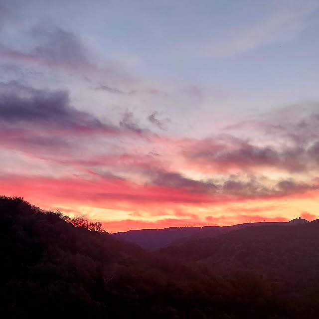 Verdant Val (haberzamani.lens) Lens social identity (.lens handle) PFP