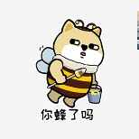 shenbinsama (shenbinsama.lens) Lens social identity (.lens handle) PFP