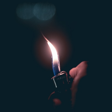 SafariSiren (honmei.lens) Lens social identity (.lens handle) PFP