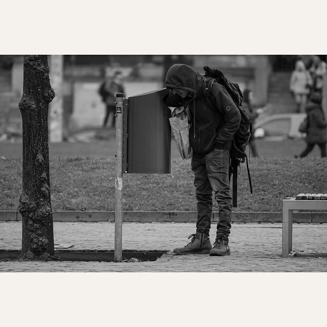 Eureka Scholarium (reflexion.lens) Lens social identity (.lens handle) PFP