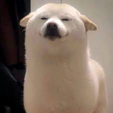 ak (corid.lens) Lens social identity (.lens handle) PFP