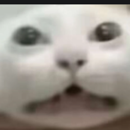 artur2.lens Lens social identity (.lens handle) PFP