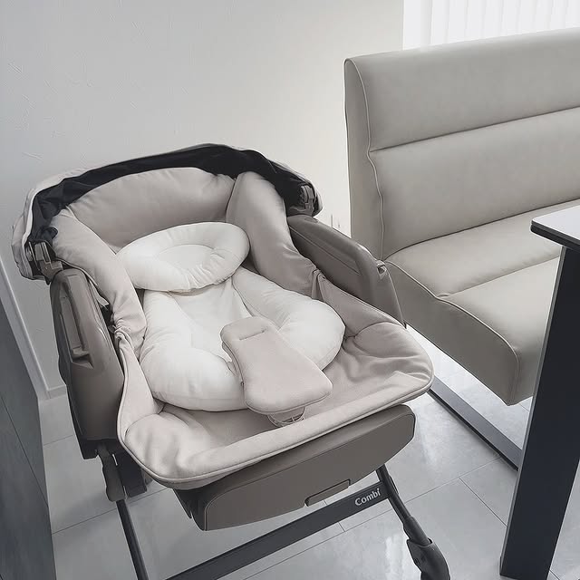 Asha Wild (vizury.lens) Lens social identity (.lens handle) PFP