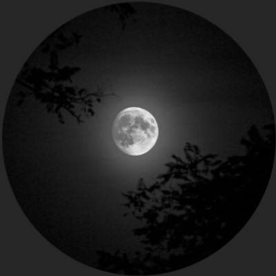 the_moon_lovers (themoonlovers.lens) Lens social identity (.lens handle) PFP