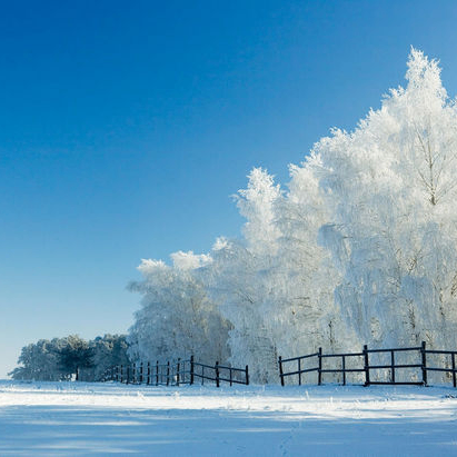 jl (vaultix.lens) Lens social identity (.lens handle) PFP