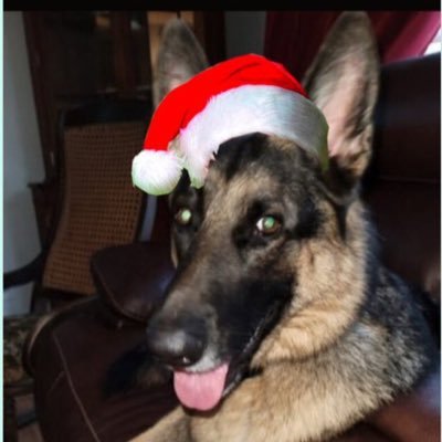 StephensVina (stephensvina.lens) Lens social identity (.lens handle) PFP