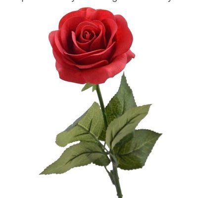 ThelmaAldana (thelmaaldana.lens) Lens social identity (.lens handle) PFP