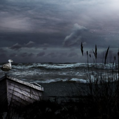 Alena (rushrush.lens) Lens social identity (.lens handle) PFP