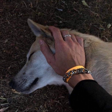 ngjygbnh (faithfreda.lens) Lens social identity (.lens handle) PFP