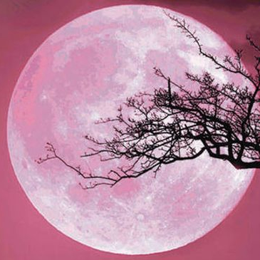 Sun (solntse.lens) Lens social identity (.lens handle) PFP