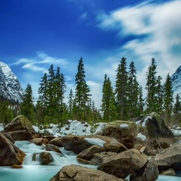 gf545f (gf445.lens) Lens social identity (.lens handle) PFP