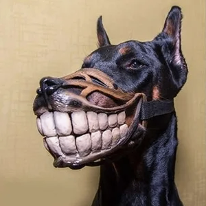 maddogssss (maddogssss.lens) Lens social identity (.lens handle) PFP