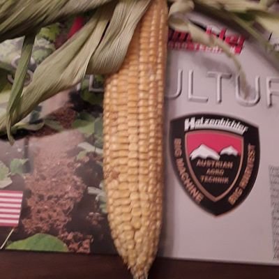 TOrganics1456 (torganics1456.lens) Lens social identity (.lens handle) PFP