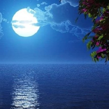 Jack Micah (xwell.lens) Lens social identity (.lens handle) PFP