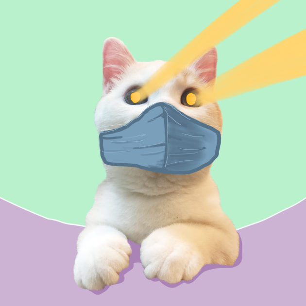 dreamcat (dreamcat.lens) Lens social identity (.lens handle) PFP