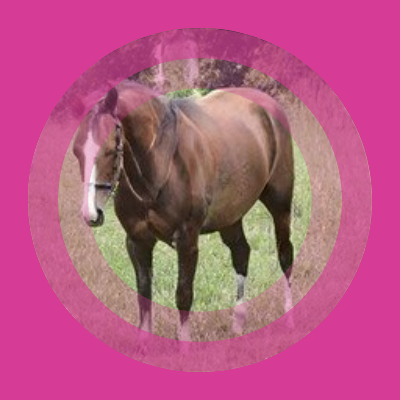 lingaoyuan (sjdjsjeueuyey.lens) Lens social identity (.lens handle) PFP