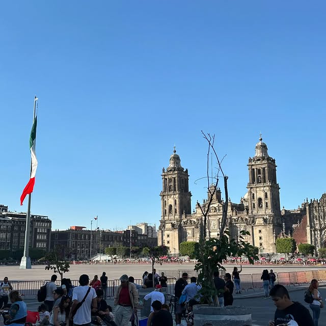 Sylvan Guardian 🌳 (nrcdn.lens) Lens social identity (.lens handle) PFP