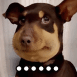 Gunner (johnnys1.lens) Lens social identity (.lens handle) PFP