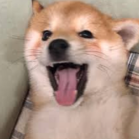 ATV Landai (whitegirl05.lens) Lens social identity (.lens handle) PFP