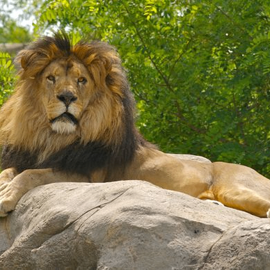 konstantinos (gas02.lens) Lens social identity (.lens handle) PFP