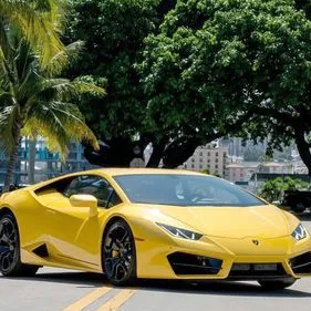 Olive Kit (zzzzzl.lens) Lens social identity (.lens handle) PFP