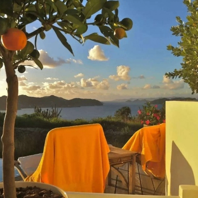 Alyse Carolina (trfedrty.lens) Lens social identity (.lens handle) PFP