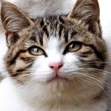 mi8csaodw (cmisoahwq.lens) Lens social identity (.lens handle) PFP