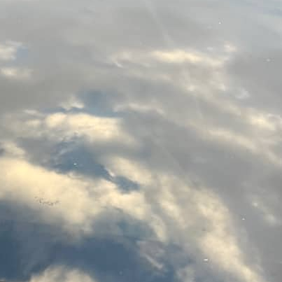 Kryptoswirek (kryptoswirek.lens) Lens social identity (.lens handle) PFP