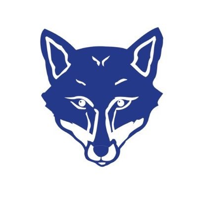 蓝狐笔记 (bdkdlsxiiddjjxn.lens) Lens social identity (.lens handle) PFP