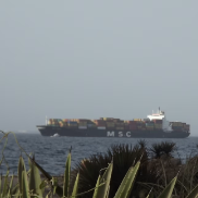 nice (bvbvb.lens) Lens social identity (.lens handle) PFP