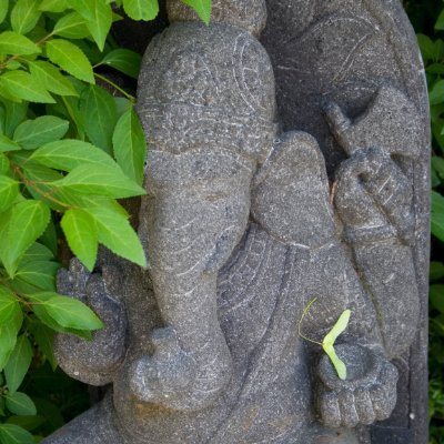 Run_fly_Smile (runflysmile.lens) Lens social identity (.lens handle) PFP