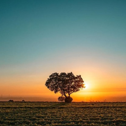 huichen (chenli.lens) Lens social identity (.lens handle) PFP