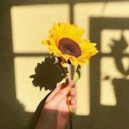 oxotih (oxotih.lens) Lens social identity (.lens handle) PFP